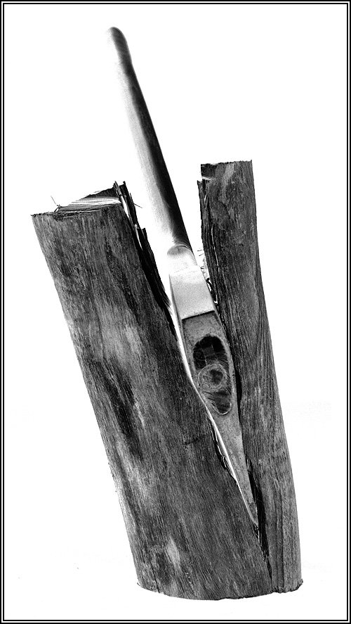 Photographie par mated1976 pour DesignCrowd (Community Contests) | Design #9009518