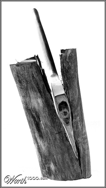 Photography by mated1976