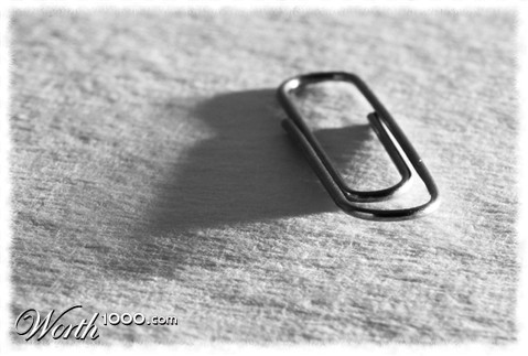 Photography by kimbomac