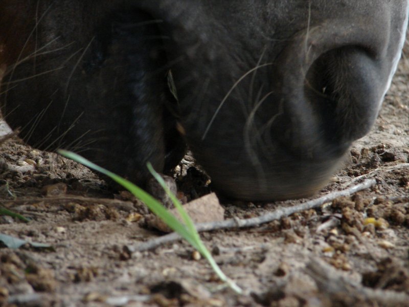 Photography by Penycat for DesignCrowd (Community Contests) | Design #9005037