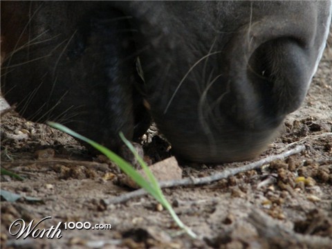 Photography by Penycat