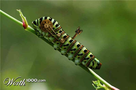 Photoshop Design by Pigia1975