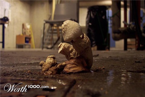 Photography by Nguuju