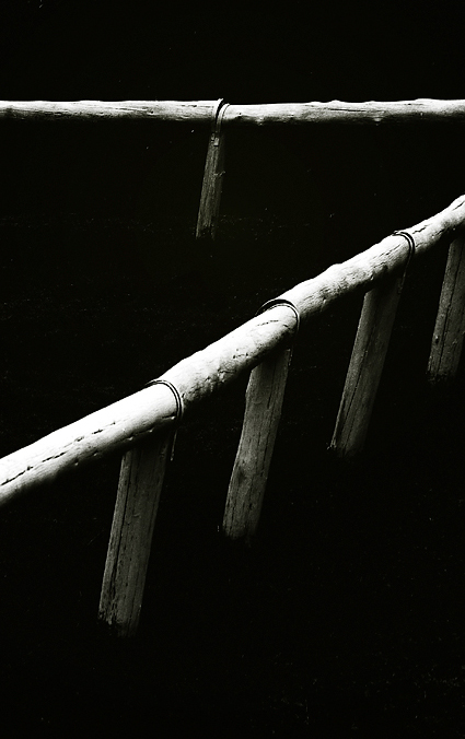 Fotografie von droomluiperd für DesignCrowd (Community Contests) | Design #9002623