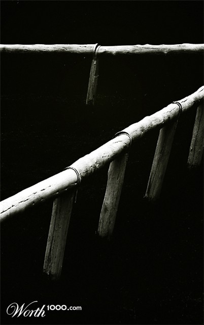 Photography by droomluiperd