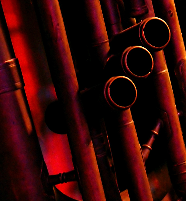 Fotografie von droomluiperd für DesignCrowd (Community Contests) | Design #9004976