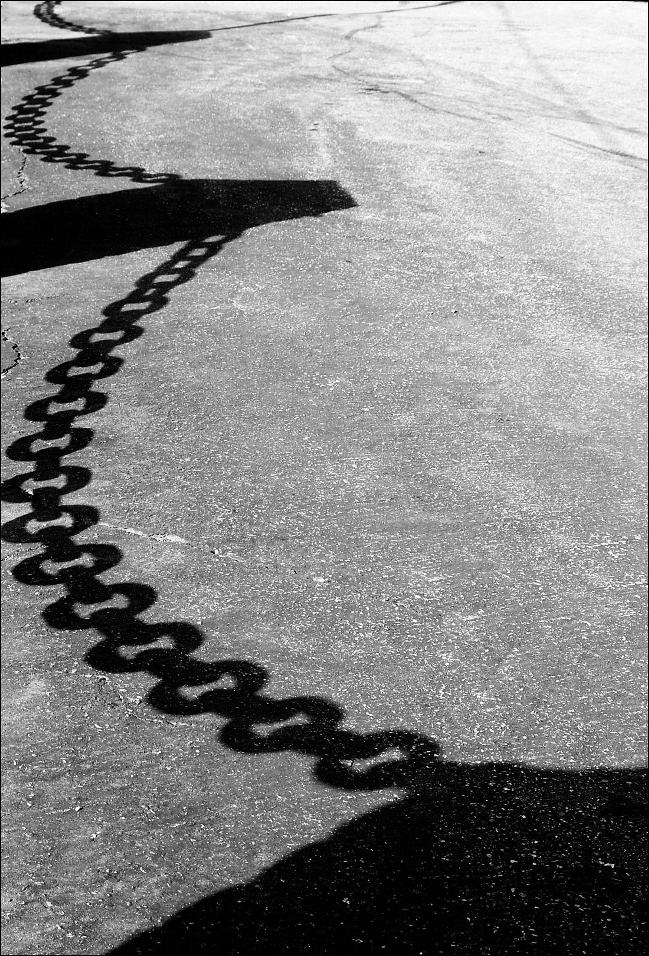 Photography by tlovesd for DesignCrowd (Community Contests) | Design #9004952