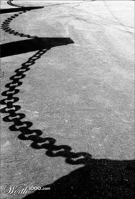 Photography by tlovesd