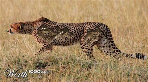 Photoshop Design by PeaseGirl