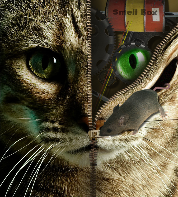 Photoshop-Design von kooskoodiroo für DesignCrowd (Community Contests) | Design #9010346