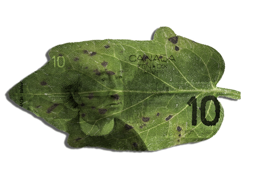 Photoshop Design by tanwal for DesignCrowd (Community Contests) | Design #9010520