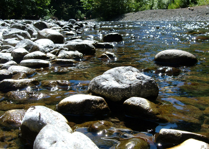 Photographie par Feature pour DesignCrowd (Community Contests) | Design #9005014