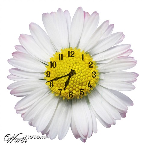 Photoshop Design by sherylphotomagic