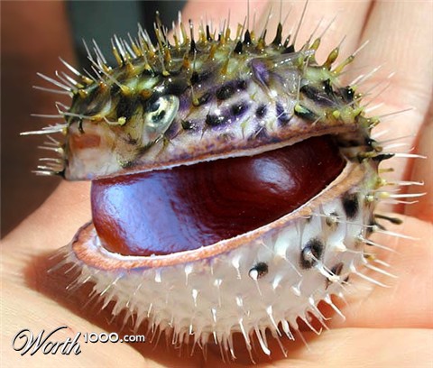 Photoshop Design by mzpresto