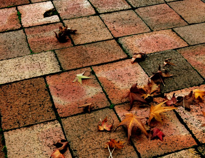 Photography by politas for DesignCrowd (Community Contests) | Design #9005000