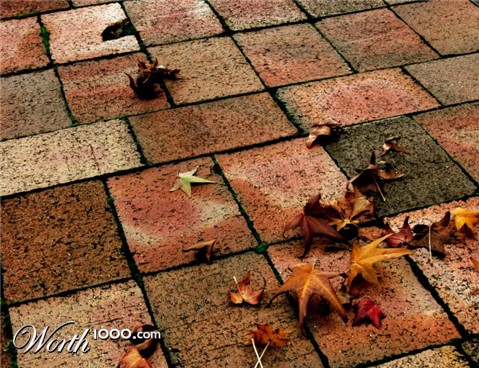 Photography by politas