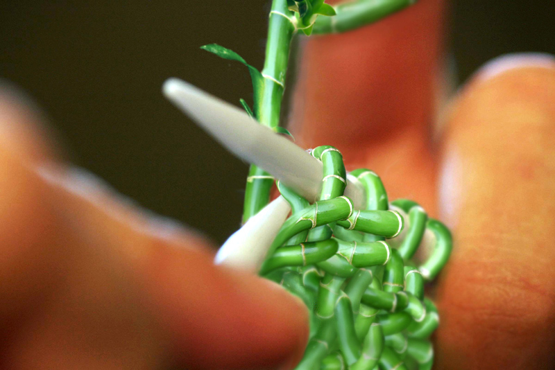 Design Photoshop par bananasfritters pour DesignCrowd (Community Contests) | Design #9010631