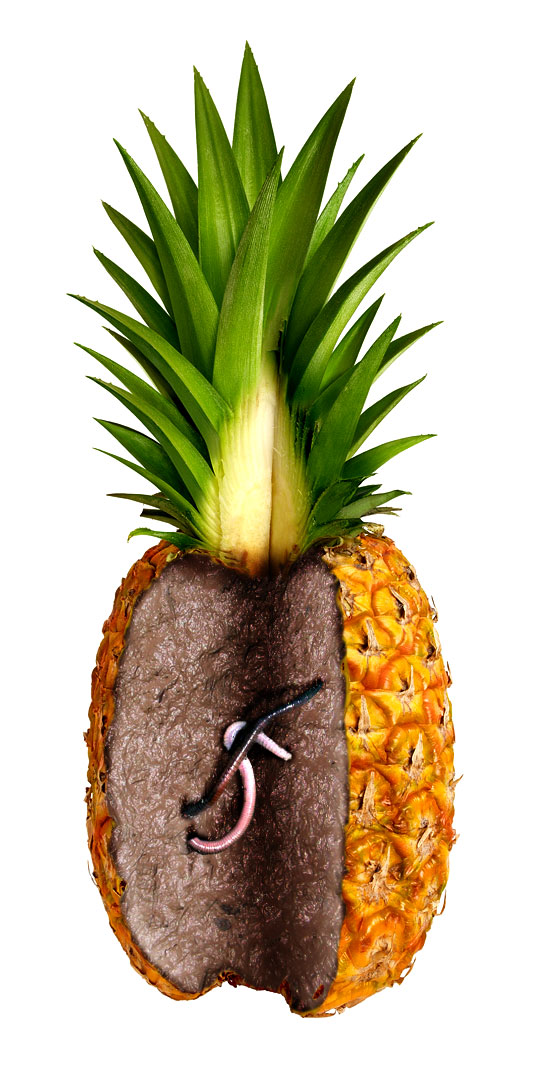 Photoshop Design by Artifakts for DesignCrowd (Community Contests) | Design #9010668