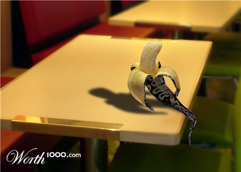 Photoshop Design by eskiss