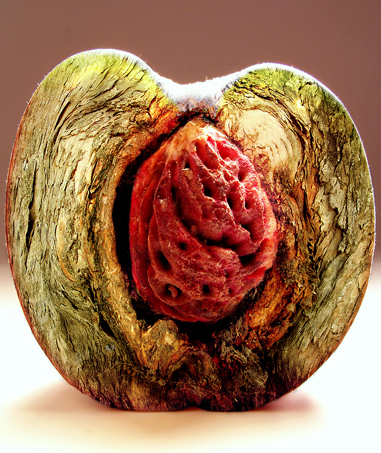 Photoshop Design by Koosricardo for DesignCrowd (Community Contests) | Design #9010576