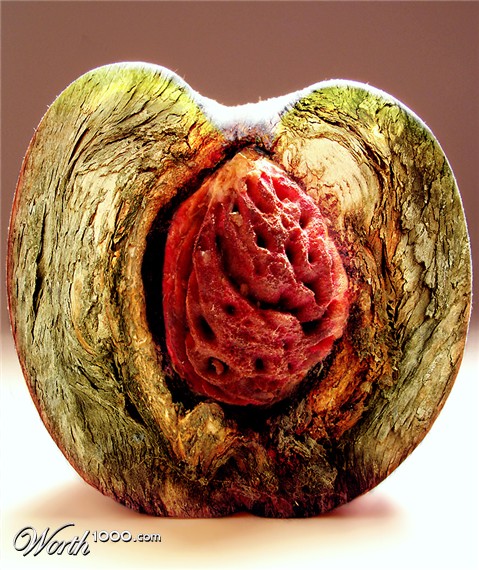 Photoshop Design by Koosricardo