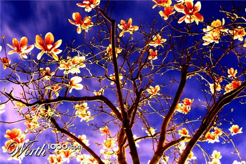 Photography by DramaThrills