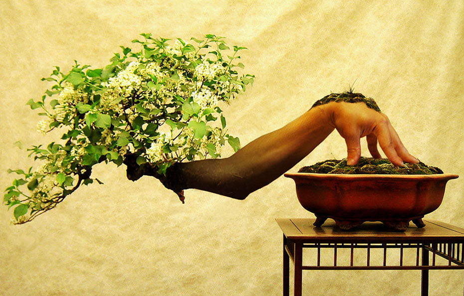 Design Photoshop par Elinorthen pour DesignCrowd (Community Contests) | Design #9010639