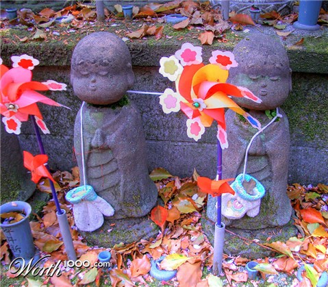 Photography by NatashaP