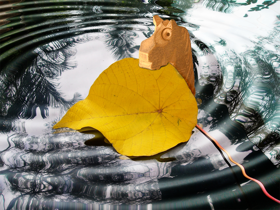 Photoshop Design by Kitiekat4U for DesignCrowd (Community Contests) | Design #9006954