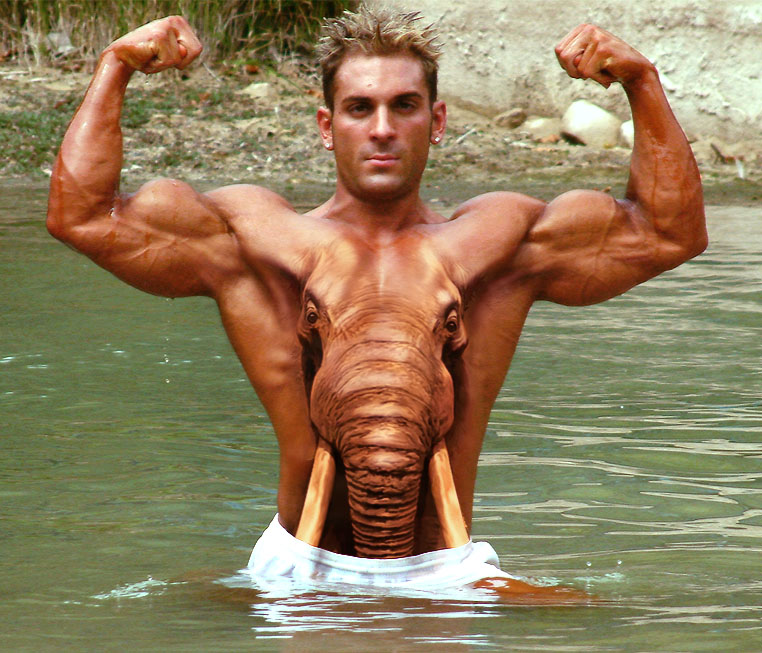 Design Photoshop par Linglie pour DesignCrowd (Community Contests) | Design #9009879