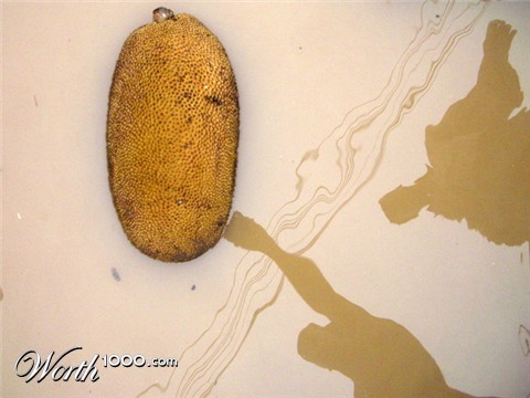 Photography by vipez