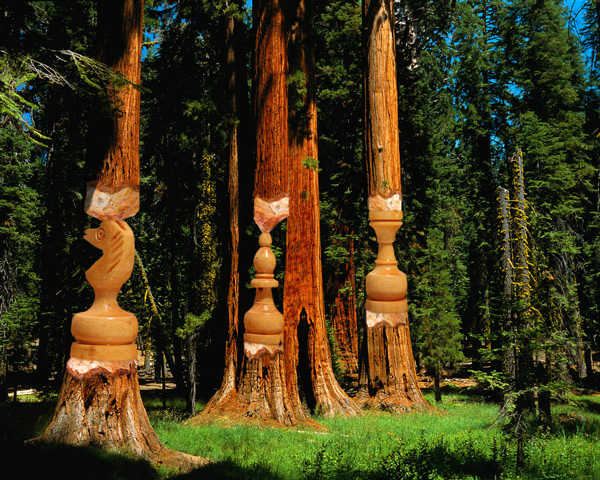 Photoshop Design by CherryPicn for DesignCrowd (Community Contests) | Design #9006962