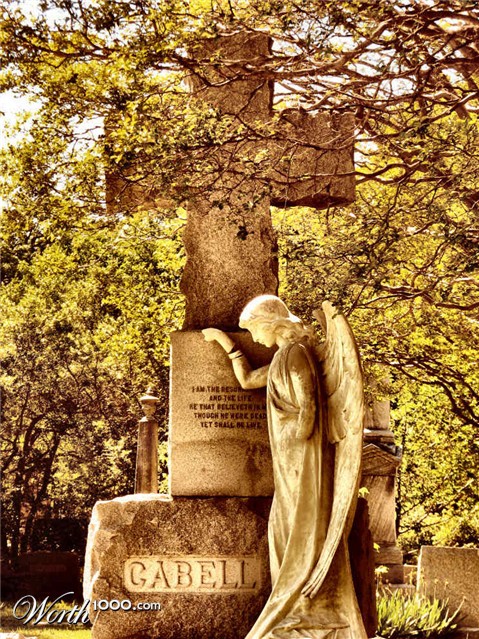 Photography by Suziecuchon