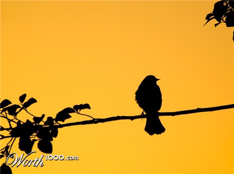 Photography by Snap