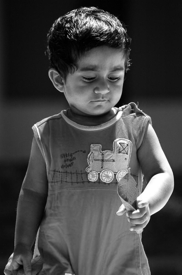 Photography by easwar123 for DesignCrowd (Community Contests) | Design #9009313