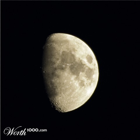 Photography by majkus