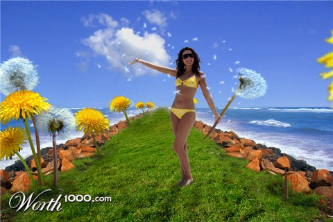 Photoshop Design by bluebook