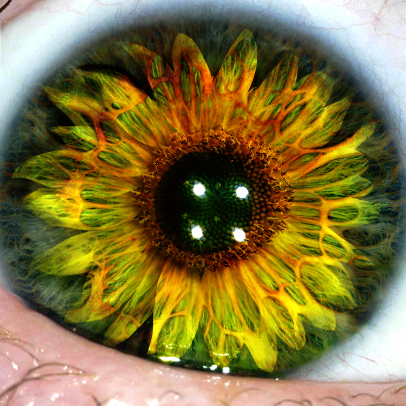 Photoshop Design by Koosricardo for DesignCrowd (Community Contests) | Design #9009918