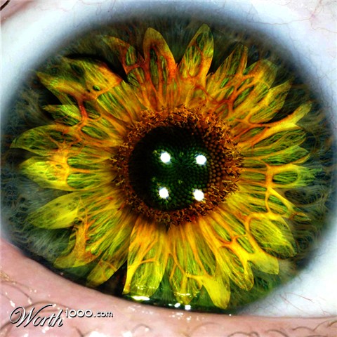 Photoshop Design by Koosricardo