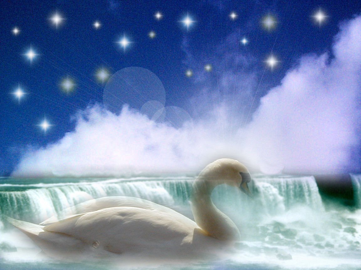 Photoshop Design by NancyPhantom for DesignCrowd (Community Contests) | Design #9006106