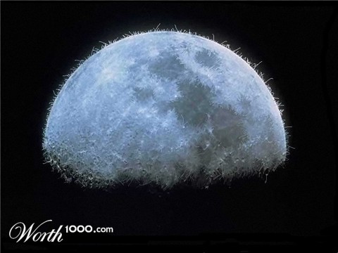 Photoshop Design by JClark8220