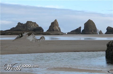 Photoshop Design by killermine