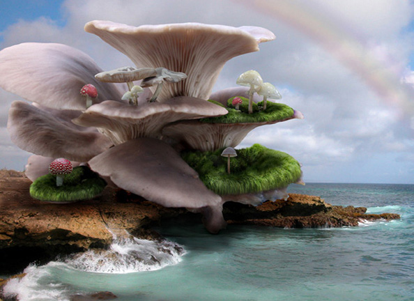 Diseño de Photoshop por ashleyvp para DesignCrowd (Community Contests) | Diseño #9006207
