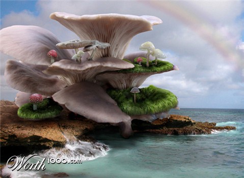 Photoshop Design by ashleyvp
