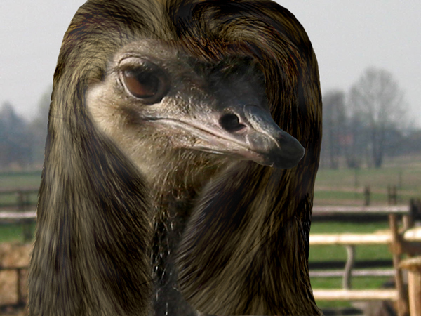 Photoshop Design by PSDEDIT for DesignCrowd (Community Contests) | Design #9006829