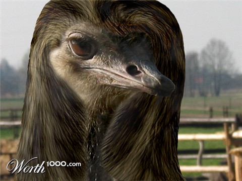 Photoshop Design by PSDEDIT