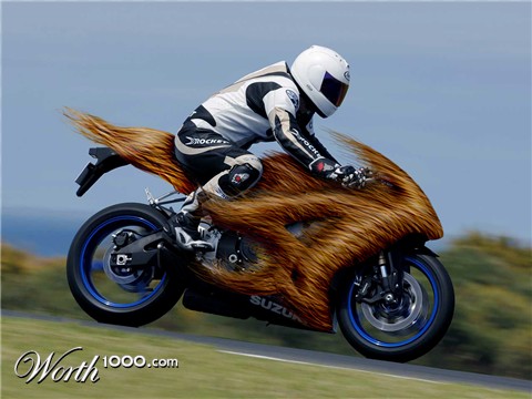 Photoshop Design by paulyfitzy