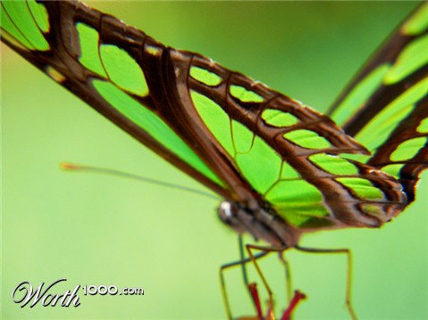 Photography by resouzaesouza