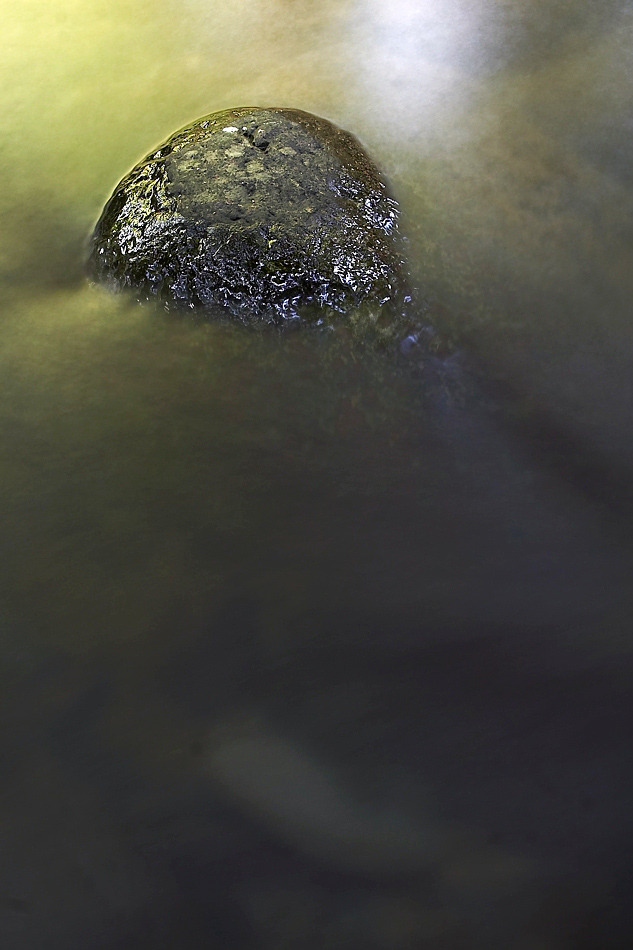 Fotografía por damas100 para DesignCrowd (Community Contests) | Diseño #9002748