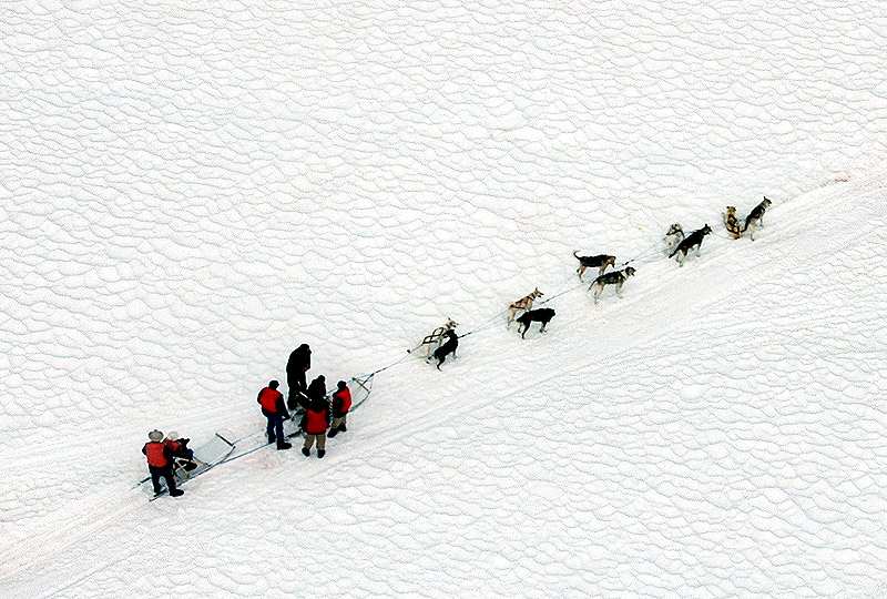 Photography by SixerHoo for DesignCrowd (Community Contests) | Design #9002777